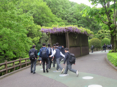 ⑴藤棚