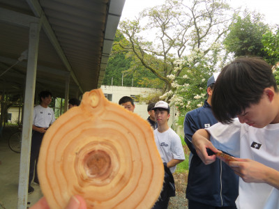 ４皮をはぐ
